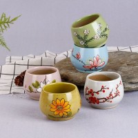 Jingdezhen ceramic succulent pots for home decoration